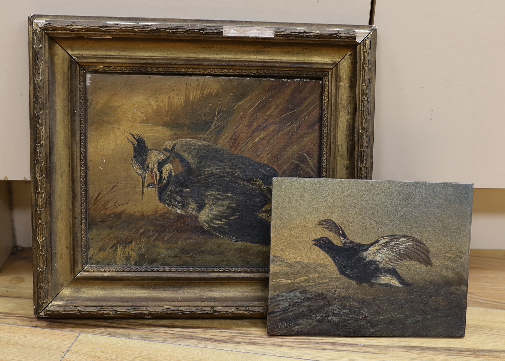 DJS 1886, two oils on canvas, Heron catching an eel and ptarmigan in flight, monogrammed and dated 1886, 24 x 29cm and 20 x 25cm, latter unframed